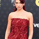 Filename=105.jpg
Filesize=209KiB
Dimensions=1520x2048
Date added=Jan 27, 2024 105.jpg