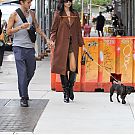 Filename=110.jpg
Filesize=4178KiB
Dimensions=2333x3499
Date added=Feb 12, 2024 110.jpg