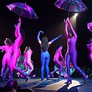 040.jpg
