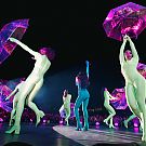 031.jpg
