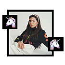 017.png