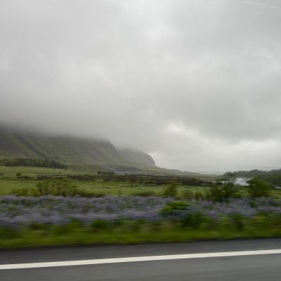 941.jpg