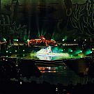 313.jpg