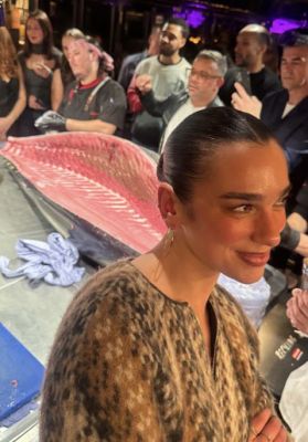 © instagram.com/rinalipa
