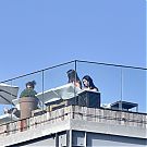 Filename=051.jpg
Filesize=921KiB
Dimensions=2251x1608
Date added=Nov 21, 2025 051.jpg