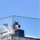 Filename=065.jpg
Filesize=372KiB
Dimensions=983x1372
Date added=Nov 21, 2025 065.jpg