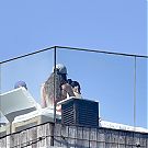 Filename=075.jpg
Filesize=339KiB
Dimensions=944x1244
Date added=Nov 21, 2025 075.jpg