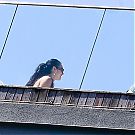 Filename=088.jpg
Filesize=417KiB
Dimensions=1106x737
Date added=Nov 21, 2025 088.jpg