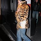 Filename=015.jpg
Filesize=3436KiB
Dimensions=2334x3500
Date added=Feb 22, 2026 015.jpg