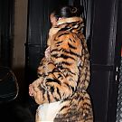 Filename=016.jpg
Filesize=3267KiB
Dimensions=2334x3500
Date added=Feb 22, 2026 016.jpg