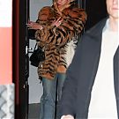 Filename=025.jpg
Filesize=2848KiB
Dimensions=2333x3500
Date added=Feb 22, 2026 025.jpg