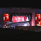 010.jpg