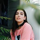 003.jpg