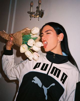 041.jpg